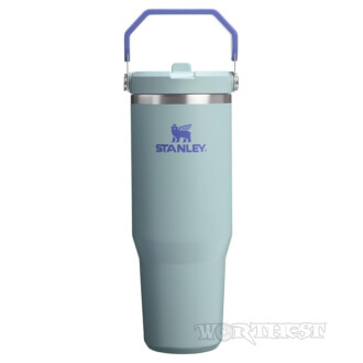 Термочашка Stanley IceFlow 2.0 Flip Straw Tumbler 0,89л Blue Cactus с ручкой
