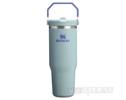 Термочашка Stanley IceFlow 2.0 Flip Straw Tumbler 0,89л Blue Cactus с ручкой