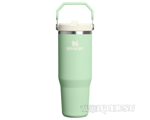 Термочашка Stanley IceFlow 2.0 Flip Straw Tumbler 0,89 л Pistachio з ручкою