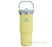 Термочашка Stanley IceFlow 2.0 Flip Straw Tumbler 0,89л Pomelo з ручкою