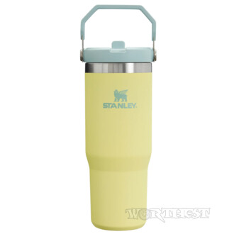Термочашка Stanley IceFlow 2.0 Flip Straw Tumbler 0,89л Pomelo з ручкою