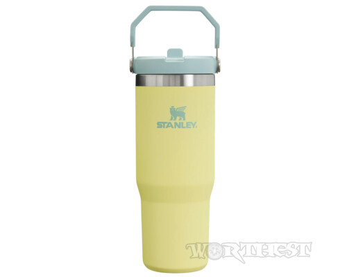 Термочашка Stanley IceFlow 2.0 Flip Straw Tumbler 0,89л Pomelo з ручкою